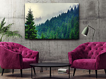 Obraz Slovenské lesy zs1053